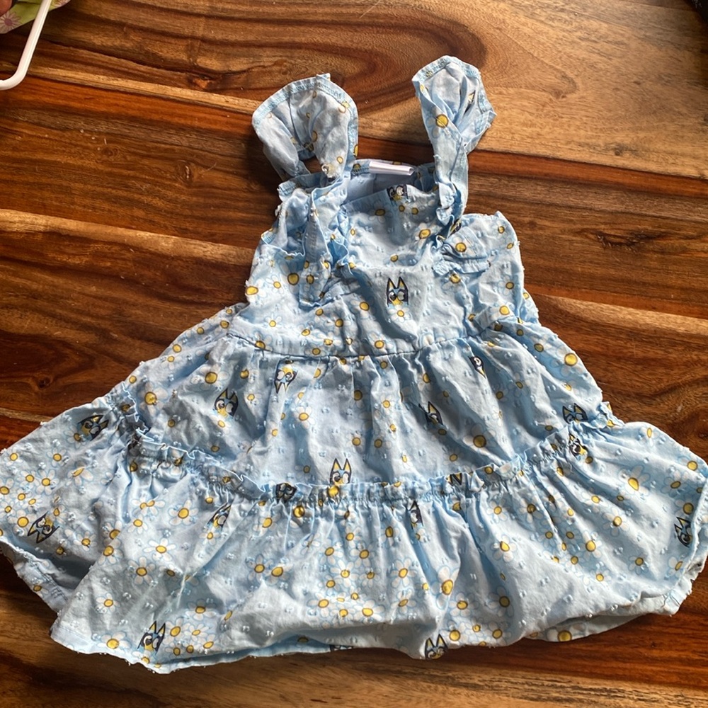 Bluey dress!